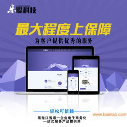 國內權威網站關鍵詞優化軟件公司深度解析 以哈爾濱258商務衛士為例